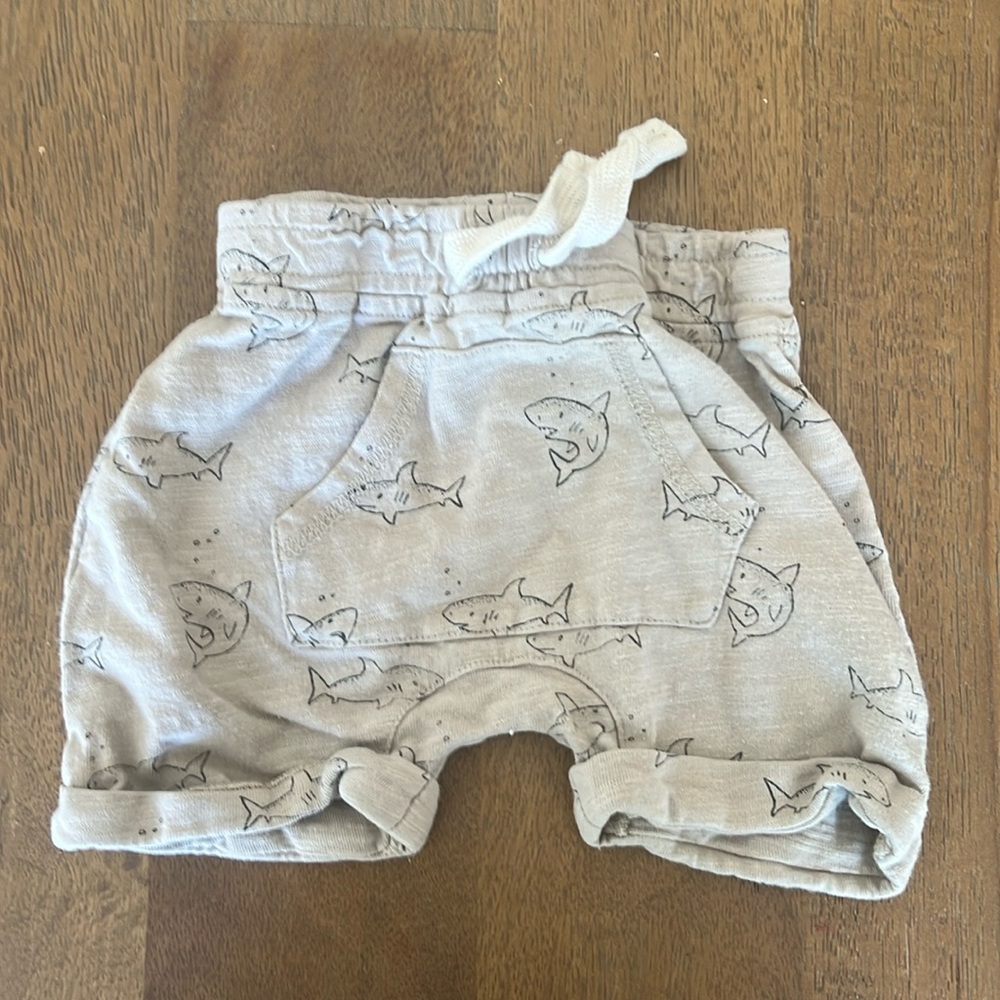 Rylee & cru shark shorts